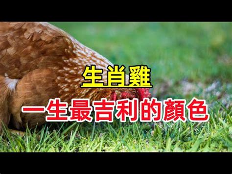 屬雞幸運數字|屬雞的幸運數字是多少